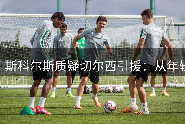 斯科尔斯质疑切尔西引援：从年轻化直接转向高龄化